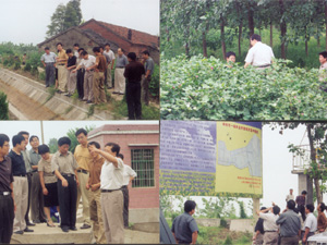 华阳河农场总场最新项目，引领农业现代化新篇章