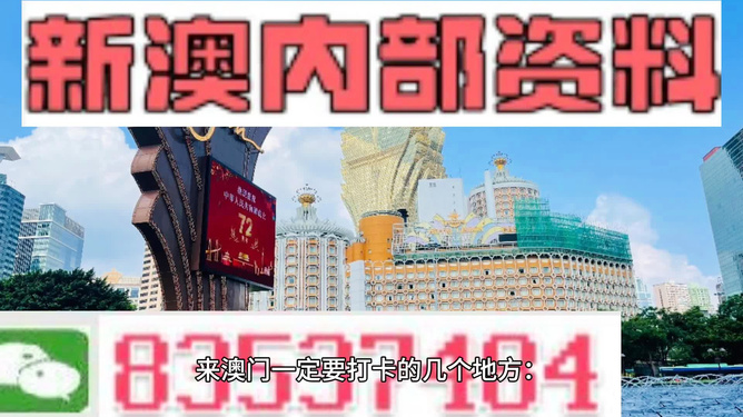 新澳2024正版资料免费公开，热点释义与落实行动