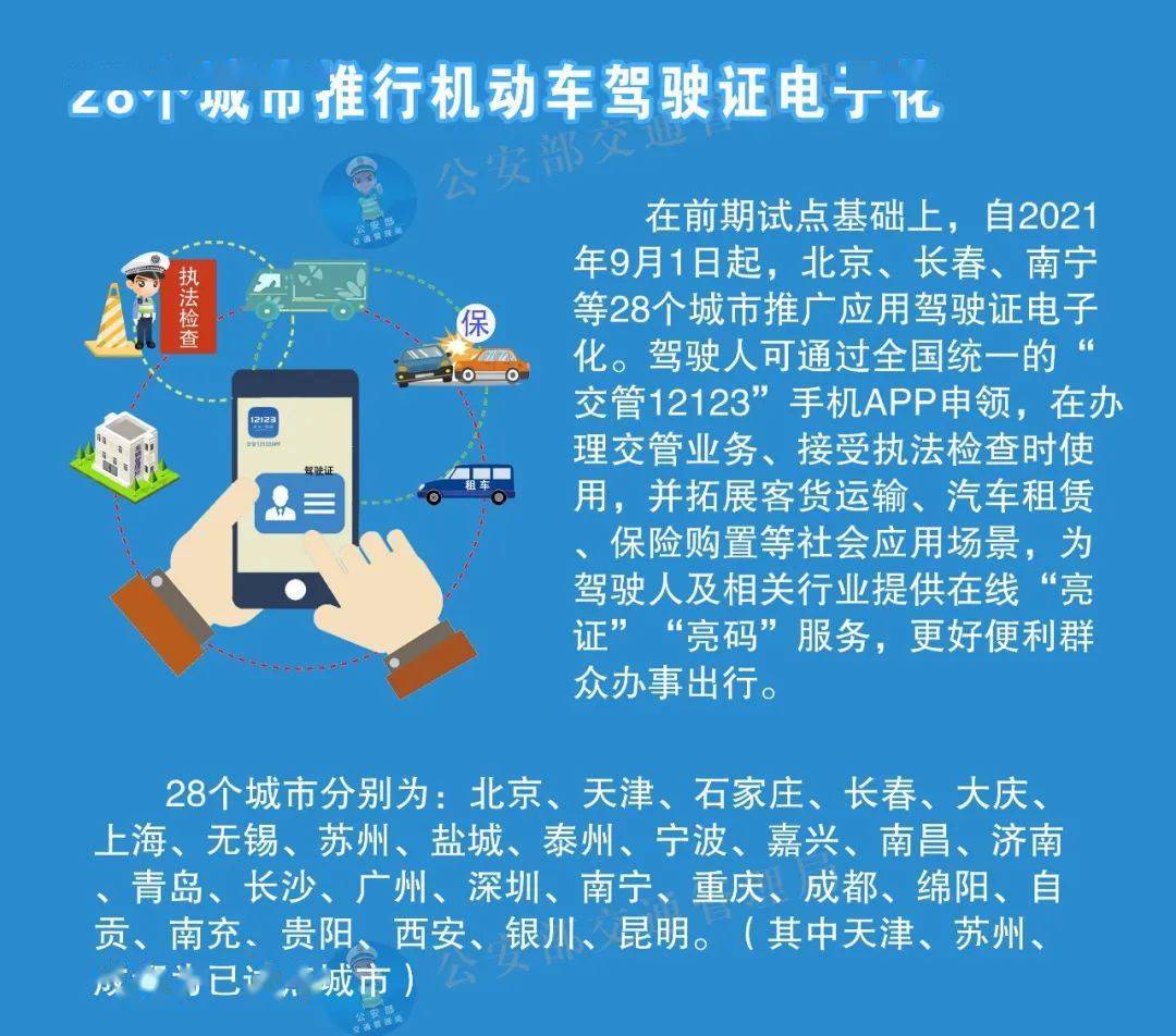 迈向2024年正版资料免费共享的未来，及时释义、解释与落实