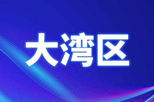 管家婆2024澳门正版资料与个性释义，深度解析并落实