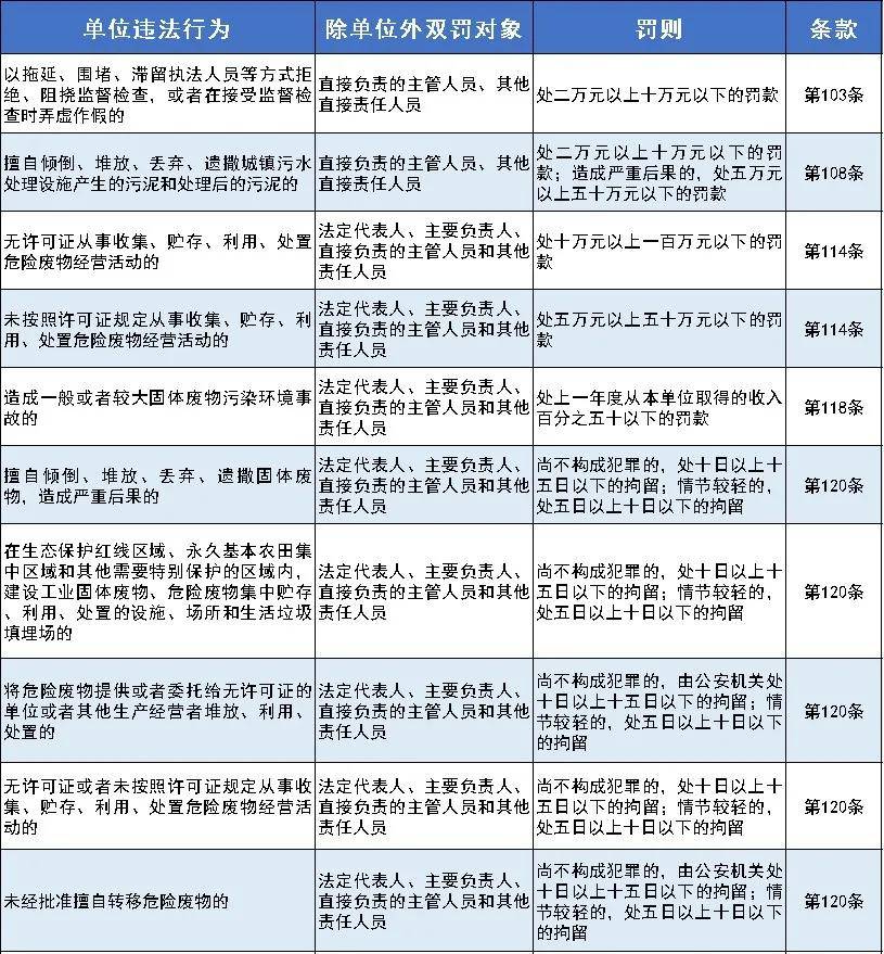 新澳门2024历史开奖记录查询表，经验释义与查询实践的落实