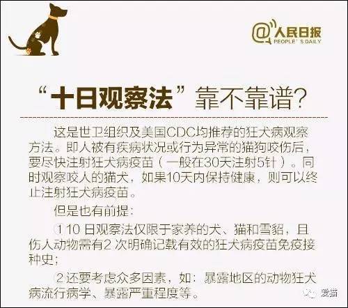 新澳内部资料最准确，精良释义、解释与落实的探讨