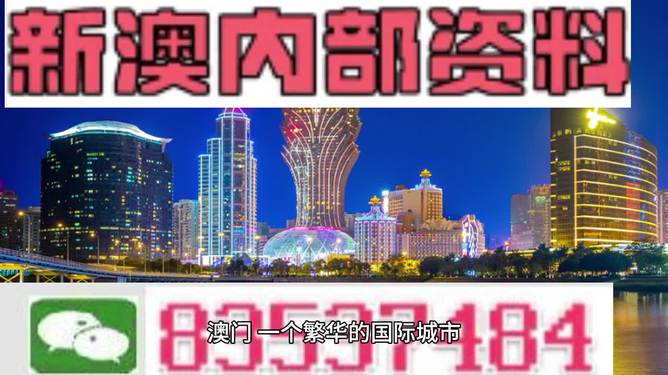 新澳门正版精准免费大全，解读与落实策略