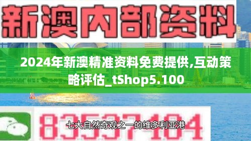 新澳2024最新资料与精锐释义，深度解读与落实策略