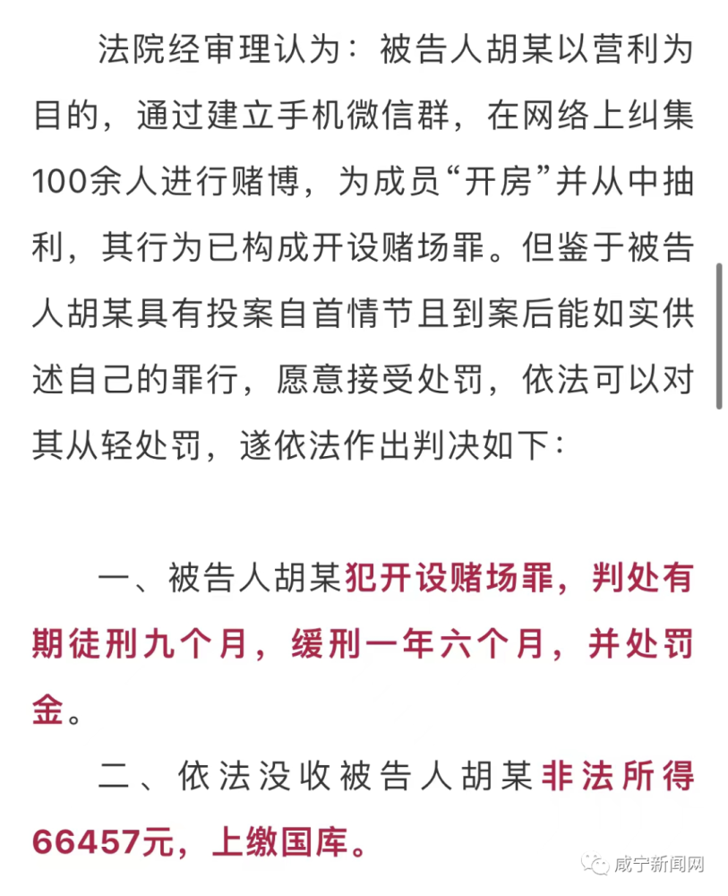 澳门六开彩全年免费正版资料与素质释义解释落实，揭示犯罪行为的本质与应对之道