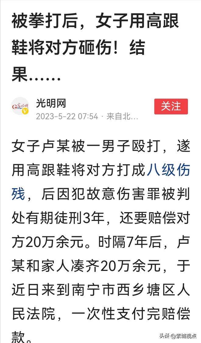 关于澳家婆一肖一特与力策释义解释落实的深度探讨——以2024年为观察点