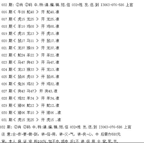 一码一肖一特一中2024，释义解释与落实之道