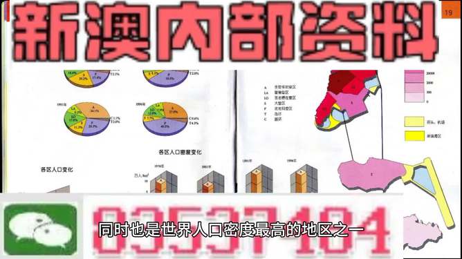 新澳门正版精准免费大全，公平释义与解释落实的重要性