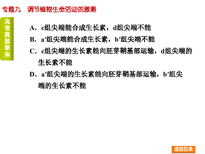 揭秘新澳精准资料大全，权威释义解释与落实行动指南