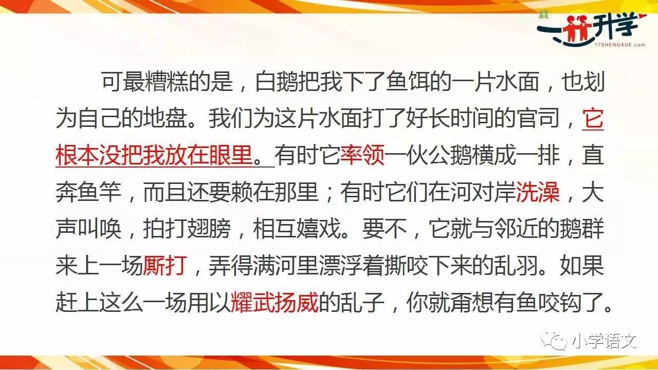 白小姐资料大全与奇缘四肖，朴实释义下的探索与实践