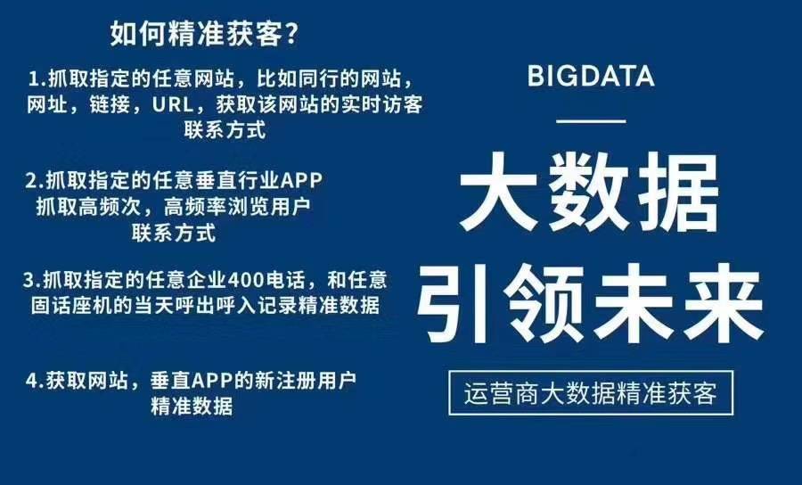 揭秘新澳2024年最精准资料大全，深度分析与释义落实