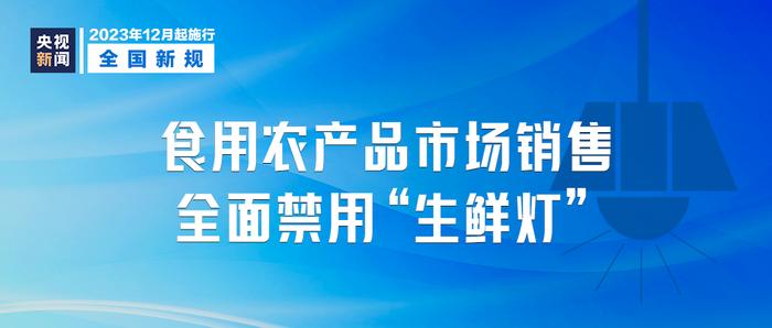 迈向未来，2024正版资料的免费公开与风范释义的落实