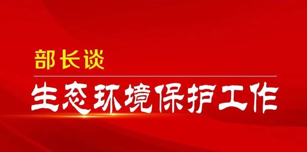 新澳门王中王战术释义解释落实，未来的挑战与机遇