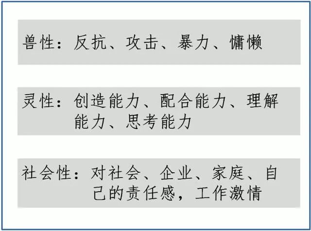 今晚澳门特马开什么今晚四不像——兼顾释义解释落实