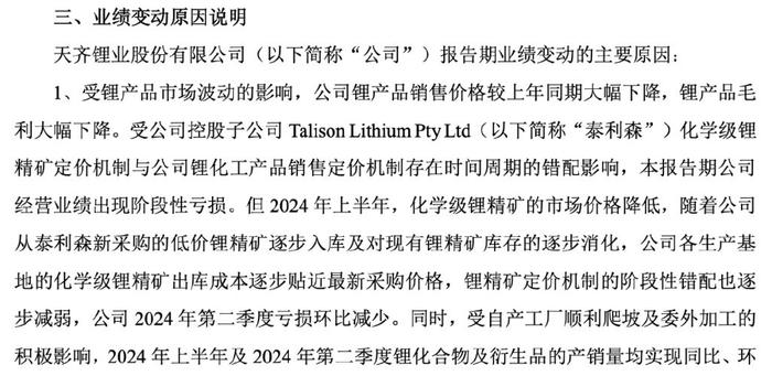 一码一肖一特一中2024，释义解释与落实行动