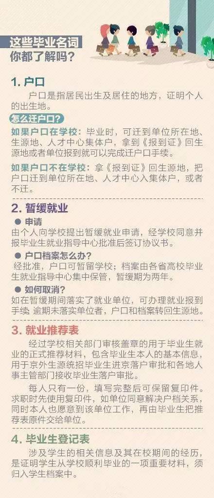 新澳门资料大全正版资料六肖，绝妙释义与深入解释落实的重要性