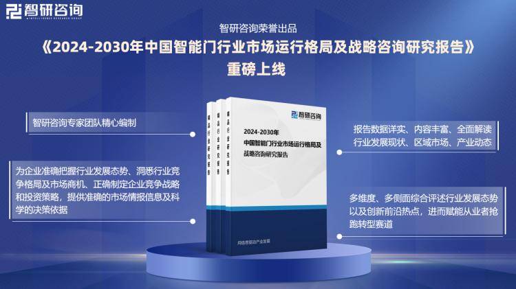 关于2024新奥精准正版资料与执行释义解释落实的深度解析