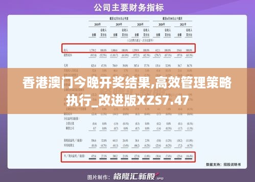 新澳门挂牌正版完挂牌记录查询方法与释义落实详解