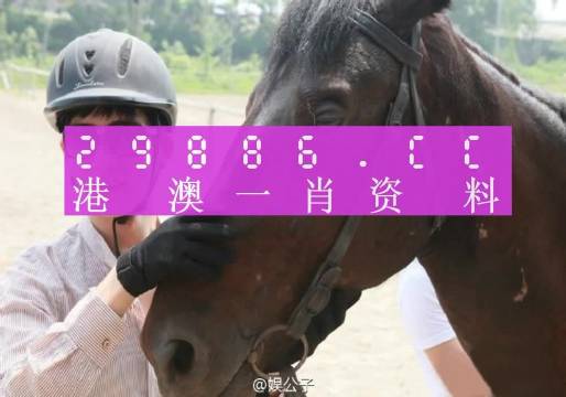 澳门一肖一码一必开一肖，多元释义、解释与落实