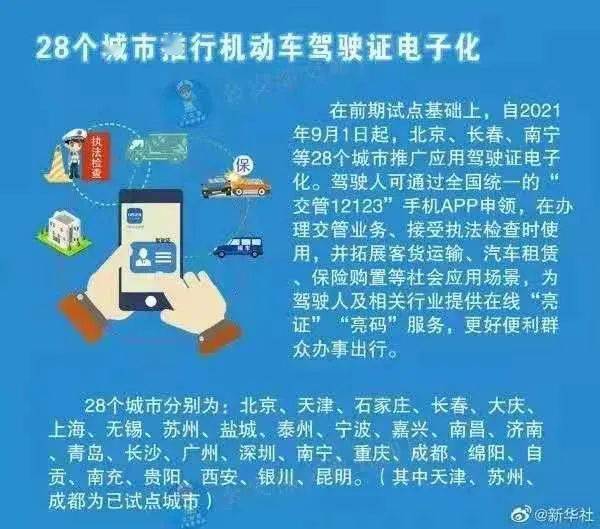 精准管家婆，人力释义解释落实的重要性与策略