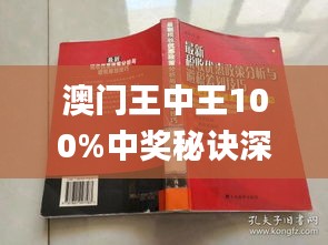 新澳门王中王王中王免费，继往释义解释落实之我见