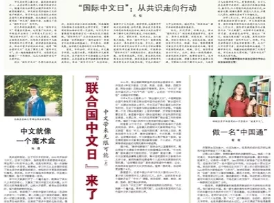 澳门四不像正版资料大全凤凰，实例释义与落实策略