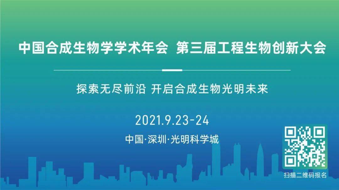 探索未来，2025新澳资料大全免费下载的独特释义与落实策略