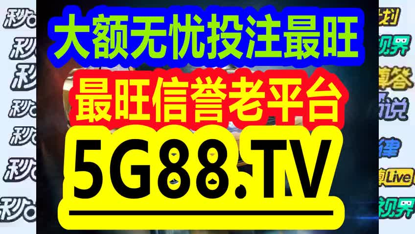 管家婆一码一肖与干练的释义解释落实