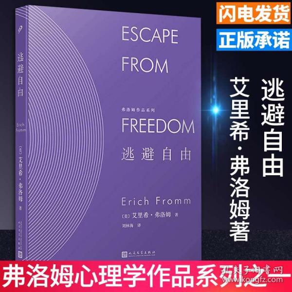 新澳精准资料免费提供265期，取证释义、解释与落实的深入探究