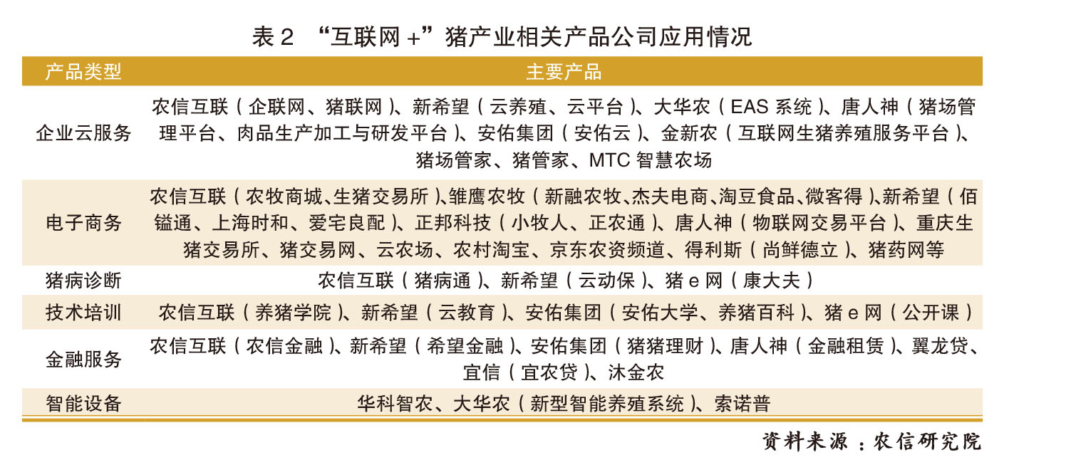 正版资料免费共享，探索未来的人生释义与落实策略