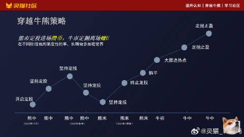 探究未来，四不像图片在创投领域的释义、解释与落实策略（以2025年为视角）