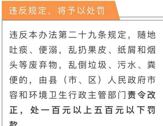 澳门平特一肖，准确预测的背后与构想释义的落实