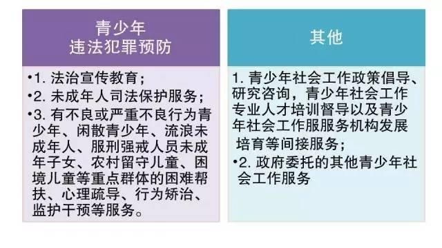 澳门未来展望，2025年的特区政府释义与落实策略