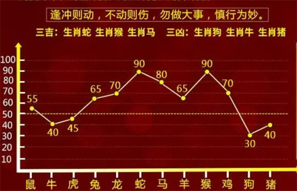 关于内部资料一肖一码，分享释义、解释与落实的探讨