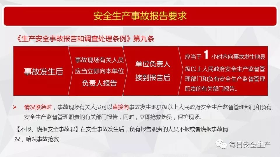 关于2025年正版管家婆最新版本的方案释义、解释与落实