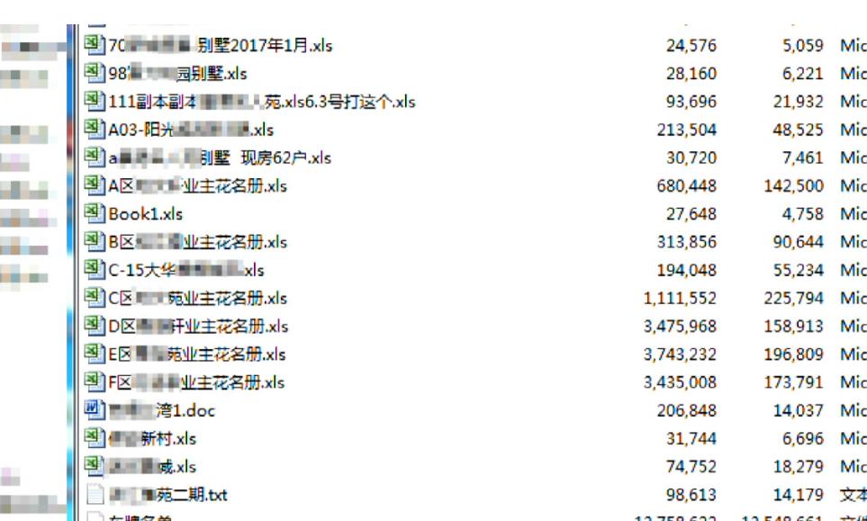 精准一肖一码一子一中，诚实释义解释落实的价值与意义