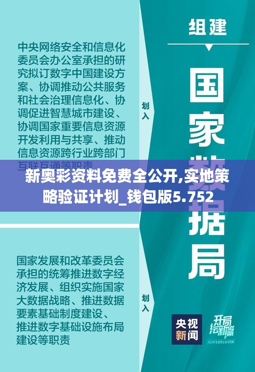 新奥彩2025年免费资料查询与权计释义的落实深度探讨