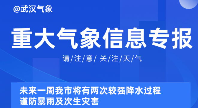 探索未来，新奥精准资料免费大全与技探释义的落实