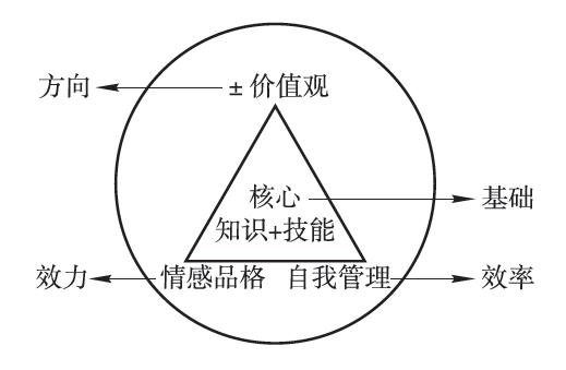 新奥天天精准资料大全及其关键释义解释落实深度解析