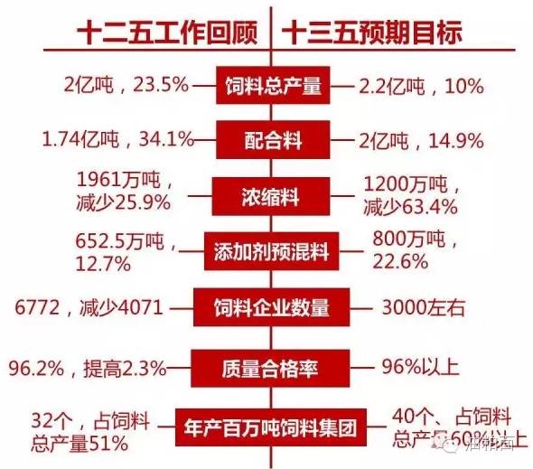 解析与落实天天彩免费资料政策，走向更普惠的彩票未来（2025展望）