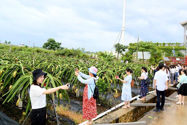 新澳精选资料免费提供，助力学习之路，便利释义解释落实