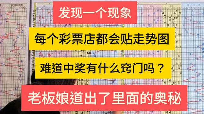 探索未来彩票奥秘，新澳门今晚开奖号码与核心释义的落实