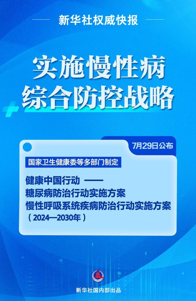 新澳资料大全一肖盛大释义解释落实，迈向未来的蓝图与策略