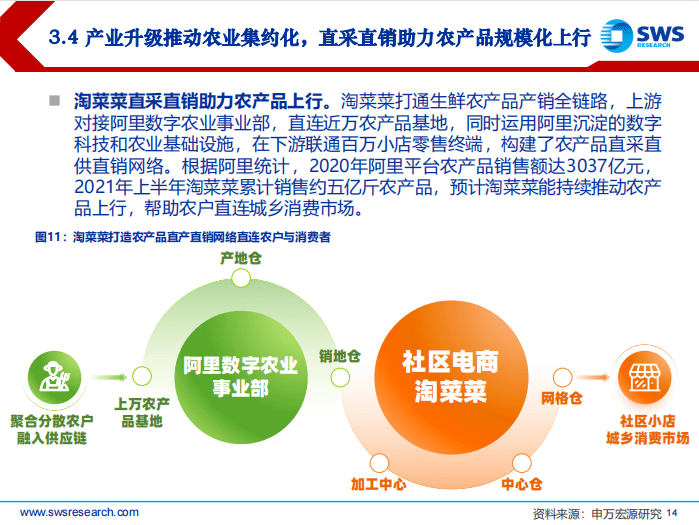 澳门三中三码精准100%，深度解析与落实策略