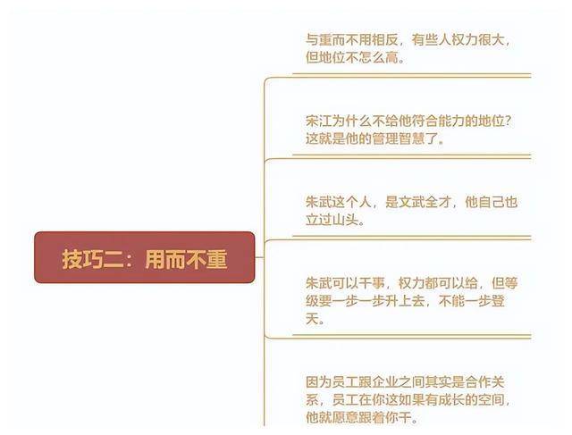 精准一肖一码一子一中，学习释义解释与落实的重要性