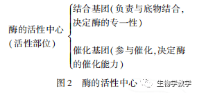 香港图库资料免费大全，学说释义、解释与落实的重要性