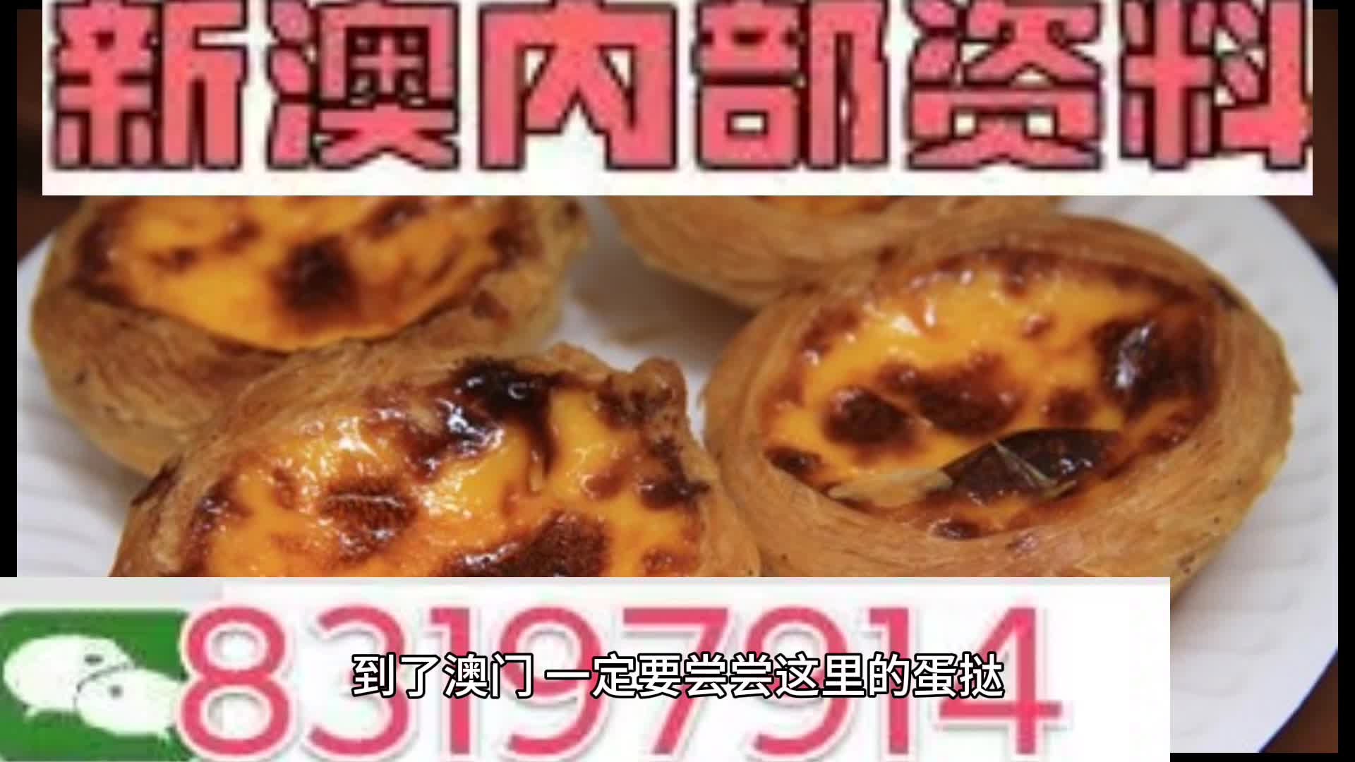 探索新澳门，孜孜释义下的正版资料大全与落实行动