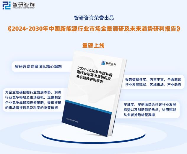 探索与解读，关于新奥精准正版资料的深入解析与实施策略