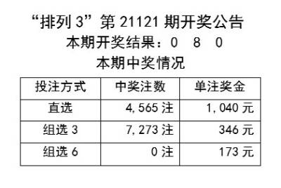 揭秘新澳天天开奖记录，能手释义解释与落实的奥秘