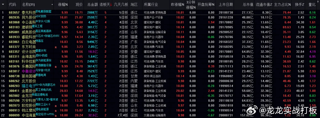 新澳今晚开什么特马仙传，考察释义解释落实的重要性